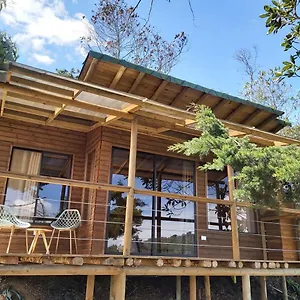 Ecoverso Del Bosque Medellín